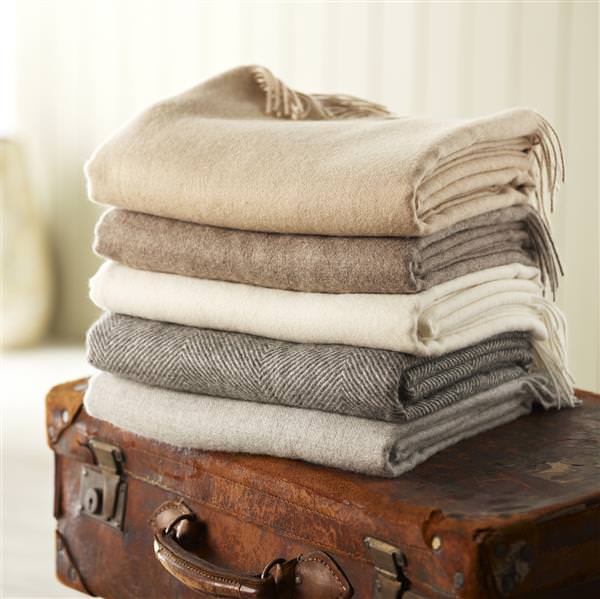 Bronte_Alpaca_collection