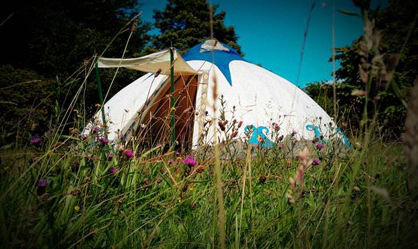 Funky Monkey tents