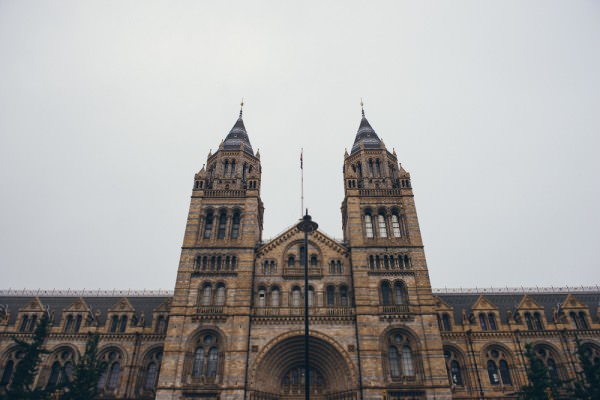 natural history museum engagement www.babbphoto.com
