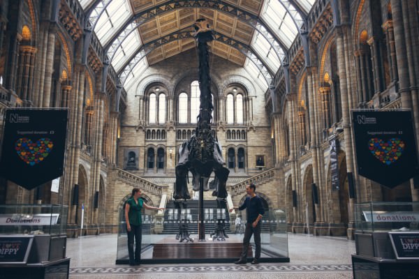 natural history museum engagement www.babbphoto.com