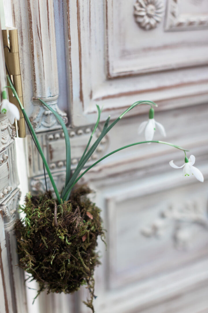 Winter Wedding Flower Ideas Snowdrop Jo Bradbury