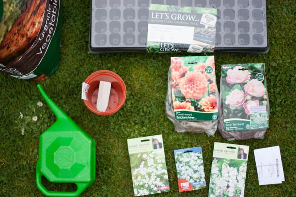 Grow Wedding Flowers DIY