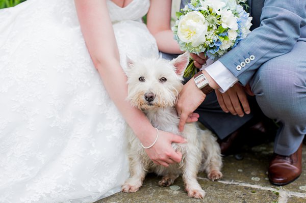 Fresh Fun Relaxed Blue & Green Wedding Dog Pet http://www.katherineashdown.co.uk/