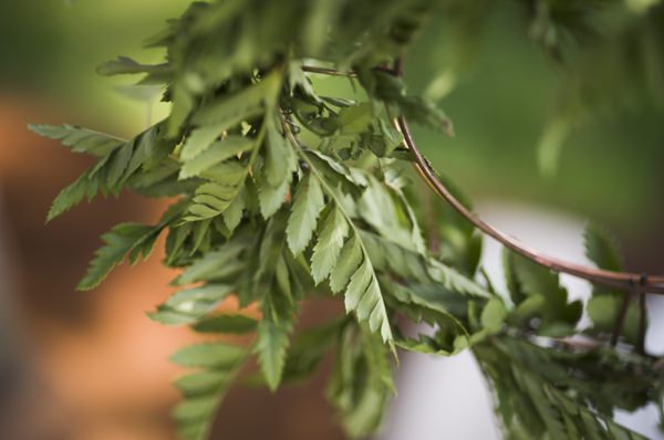 Ethereal Woodland Wedding Ideas http://www.careysheffield.com/