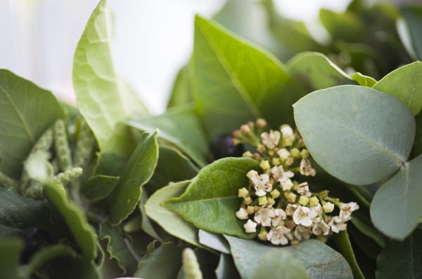 Ethereal Woodland Wedding Ideas http://www.careysheffield.com/