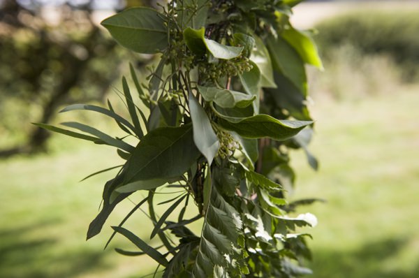 Ethereal Woodland Wedding Ideas http://www.careysheffield.com/