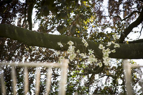 Ethereal Woodland Wedding Ideas http://www.careysheffield.com/