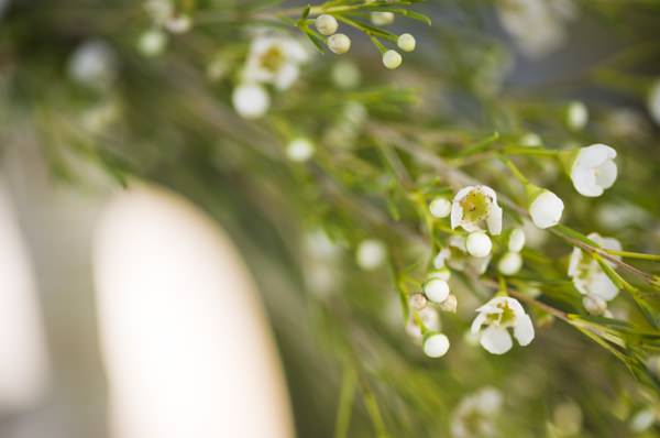 Ethereal Woodland Wedding Ideas http://www.careysheffield.com/
