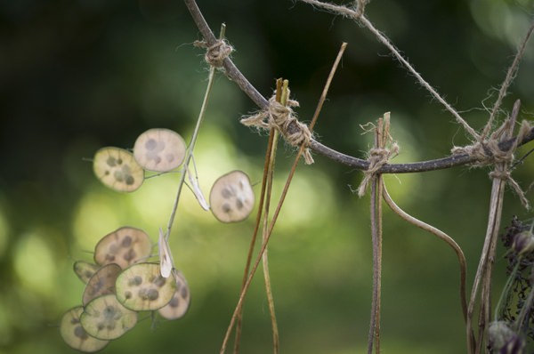 Ethereal Woodland Wedding Ideas http://www.careysheffield.com/