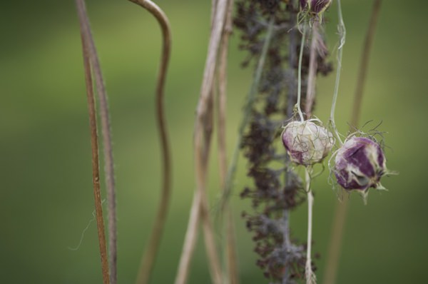 Ethereal Woodland Wedding Ideas http://www.careysheffield.com/