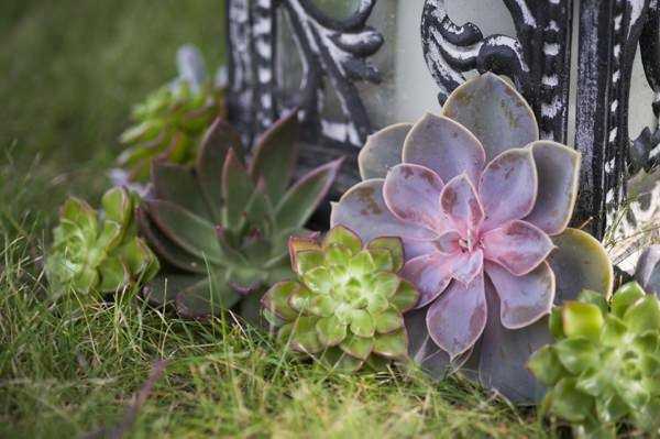 Ethereal Woodland Wedding Succulents Ideas http://www.careysheffield.com/