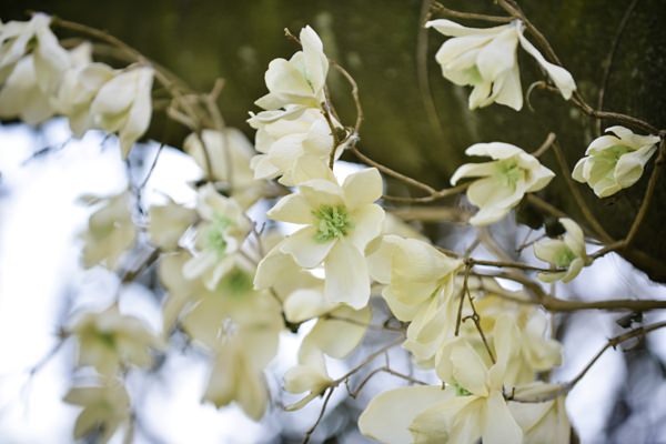 Ethereal Woodland Wedding Ideas Paper Flower Branch http://www.careysheffield.com/