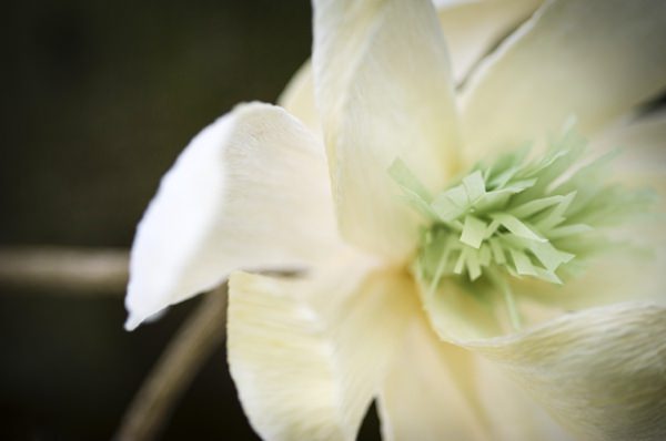 Ethereal Woodland Wedding Ideas http://www.careysheffield.com/