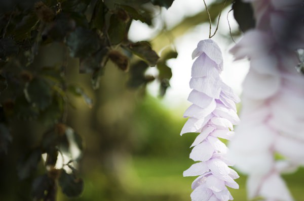 Ethereal Woodland Wedding Ideas http://www.careysheffield.com/ 