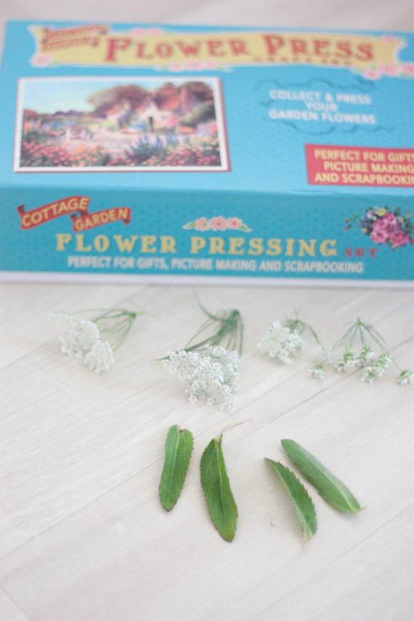 DIY Tutorial How To Pebble Stone Dried Flower Leaf Botanical Favours Place Names