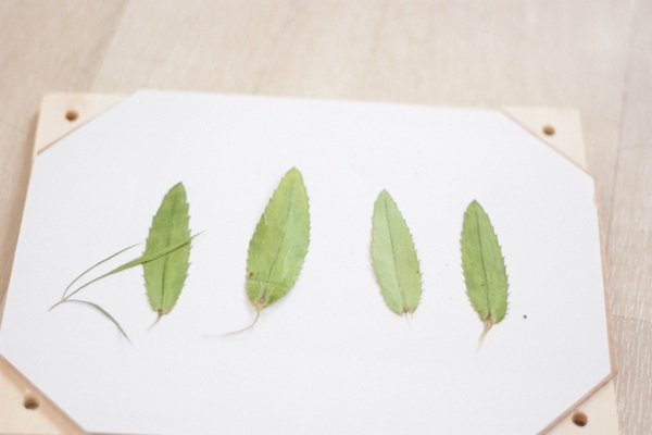 DIY Tutorial How To Pebble Stone Pressed Flower Leaf Botanical Favours Place Names