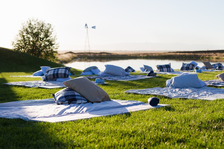 Blankets Cushions Picnic Surprise Outdoor Movie Night Double Engagement Party http://ranallaphotography.com/