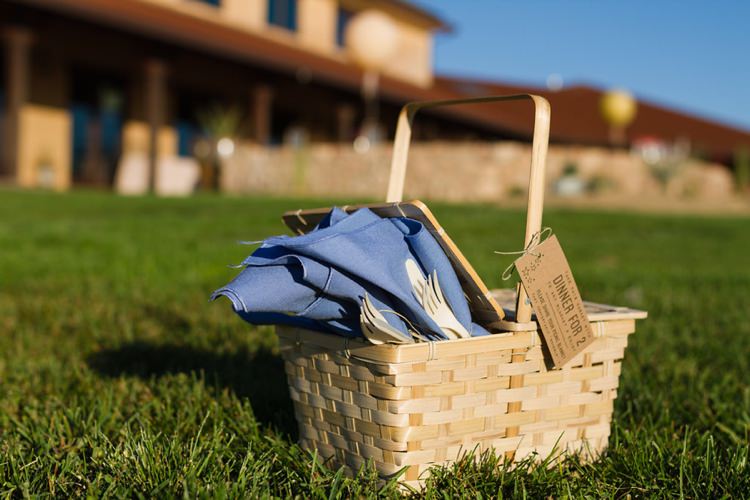 Picnic Hamper Surprise Outdoor Movie Night Double Engagement Party http://ranallaphotography.com/