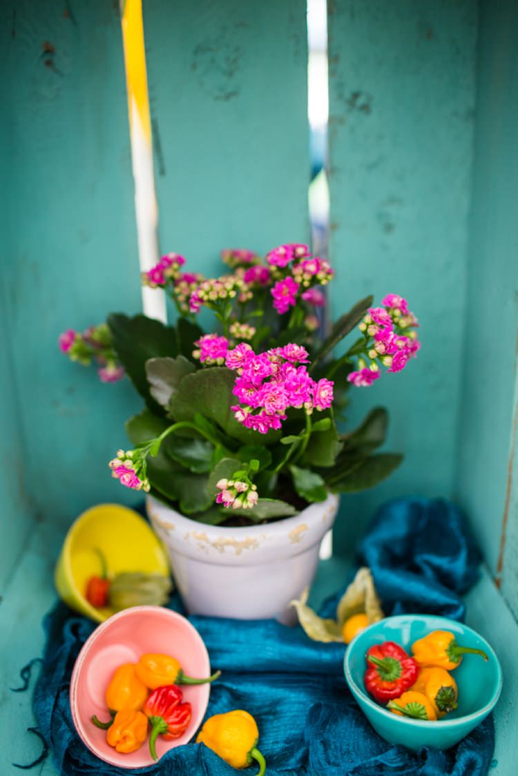 Mint Crate Potted Flowers Plant Peppers The Flower Hut Tie The Knot Wedding Carnival Hertfordshire Fair Event http://www.binkynixon.com/