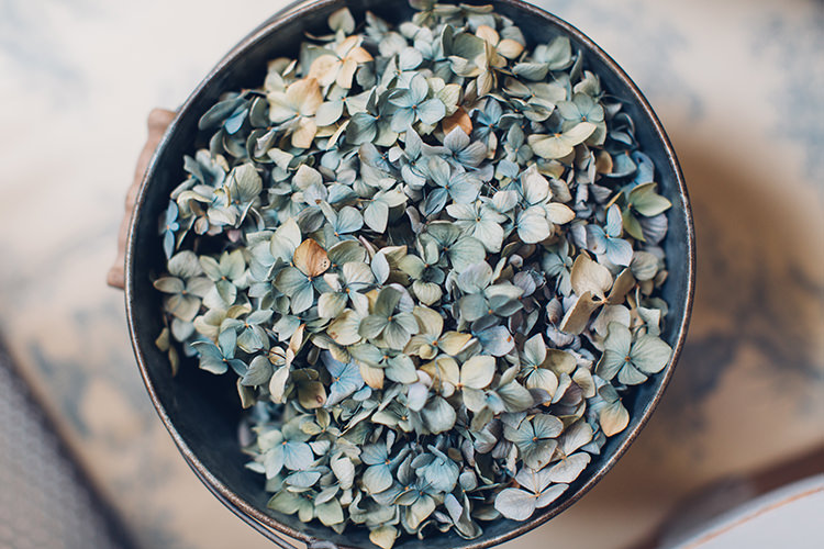 Hydrangea Petals Confetti Chilled DIY Beach Front Cafe Cornwall Yellow Blue Wedding http://missgen.com/