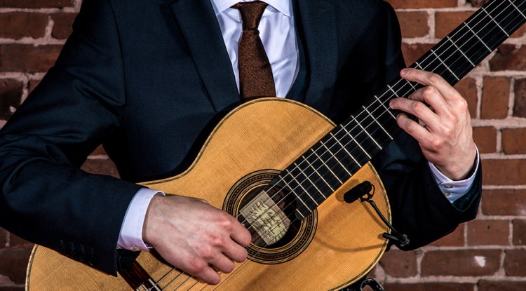 Wedding Guitarist Entertainment Ed Peczek