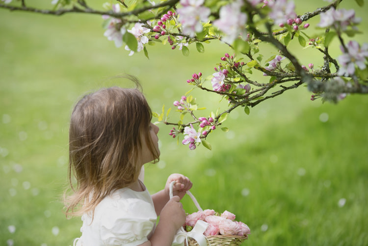 Quintessential English Elegant Soft Blush Blossom Wedding Ideas http://careysheffield.com/