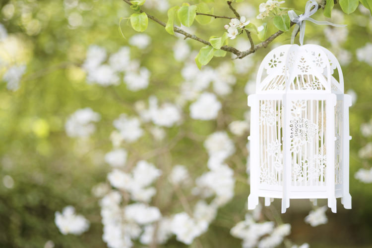 Quintessential English Elegant Soft Blush Blossom Wedding Ideas http://careysheffield.com/