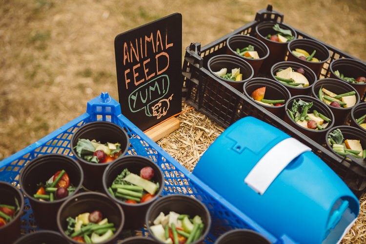Eclectic Fun Festival Farm Fete Wedding http://www.pottersinstinctphotography.co.uk/