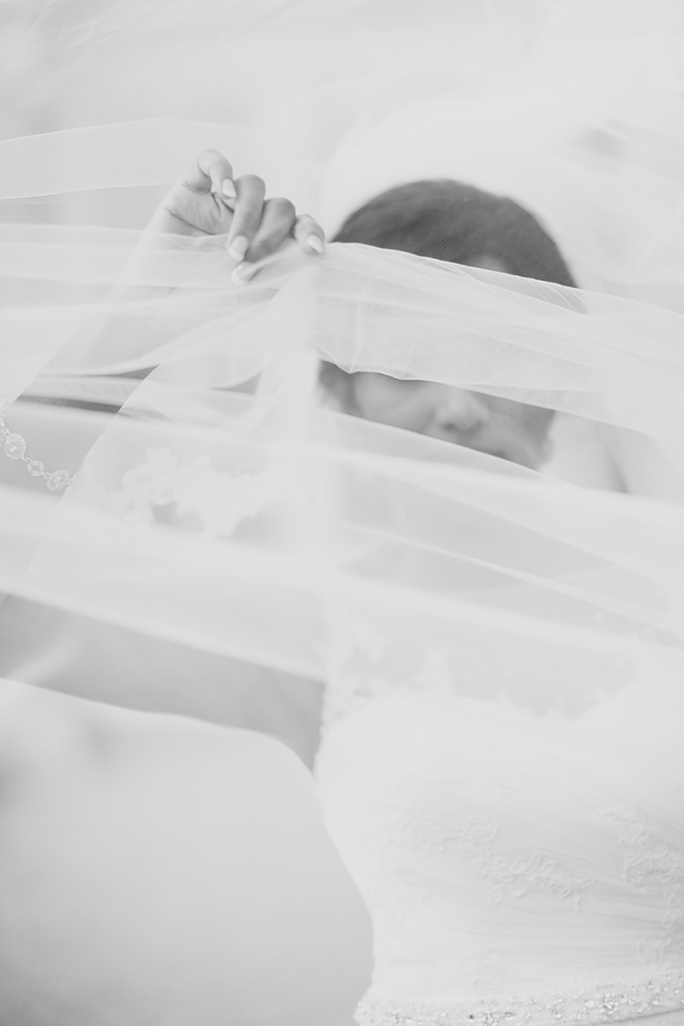 Veil Bride Bridal Grand Classic Beauty City Sweden Wedding http://smallpigart.se/en/
