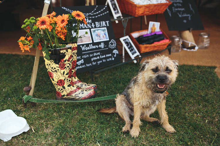 Dog Pet Fun Games Festival Tipi Wedding http://www.redonblonde.com/