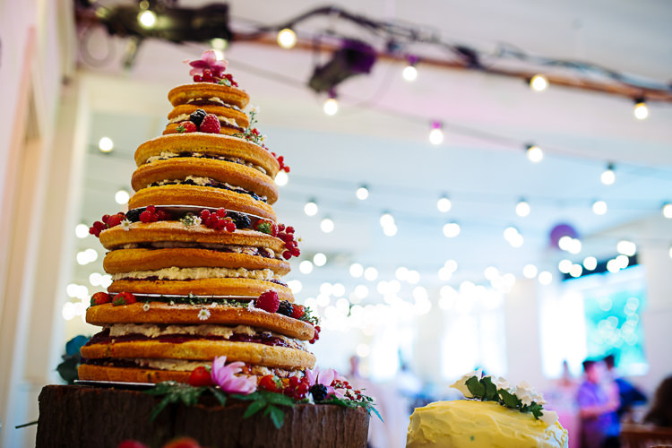 Naked Cake Sponge Flowers Log Berries Quirky Homespun Festoons Ferns Wedding http://www.stevebridgwoodphotography.co.uk/