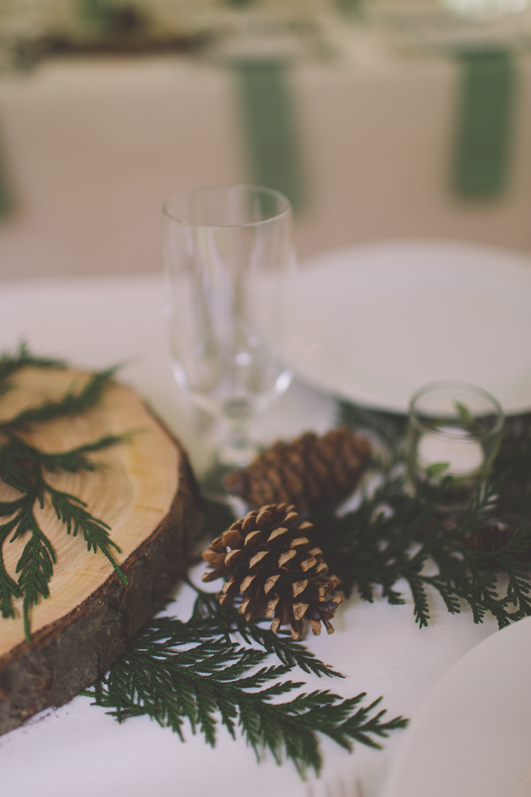 Pine Cones Ferns Log Decor Treehouse Forest Wedding Washington http://stacypaulphotography.com/