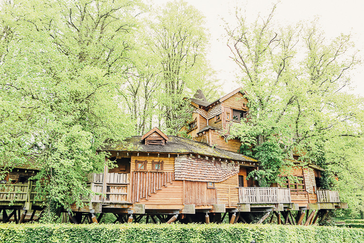 Alnwick Garden Rustic Treehouse Wedding http://helenrussellphotography.co.uk/