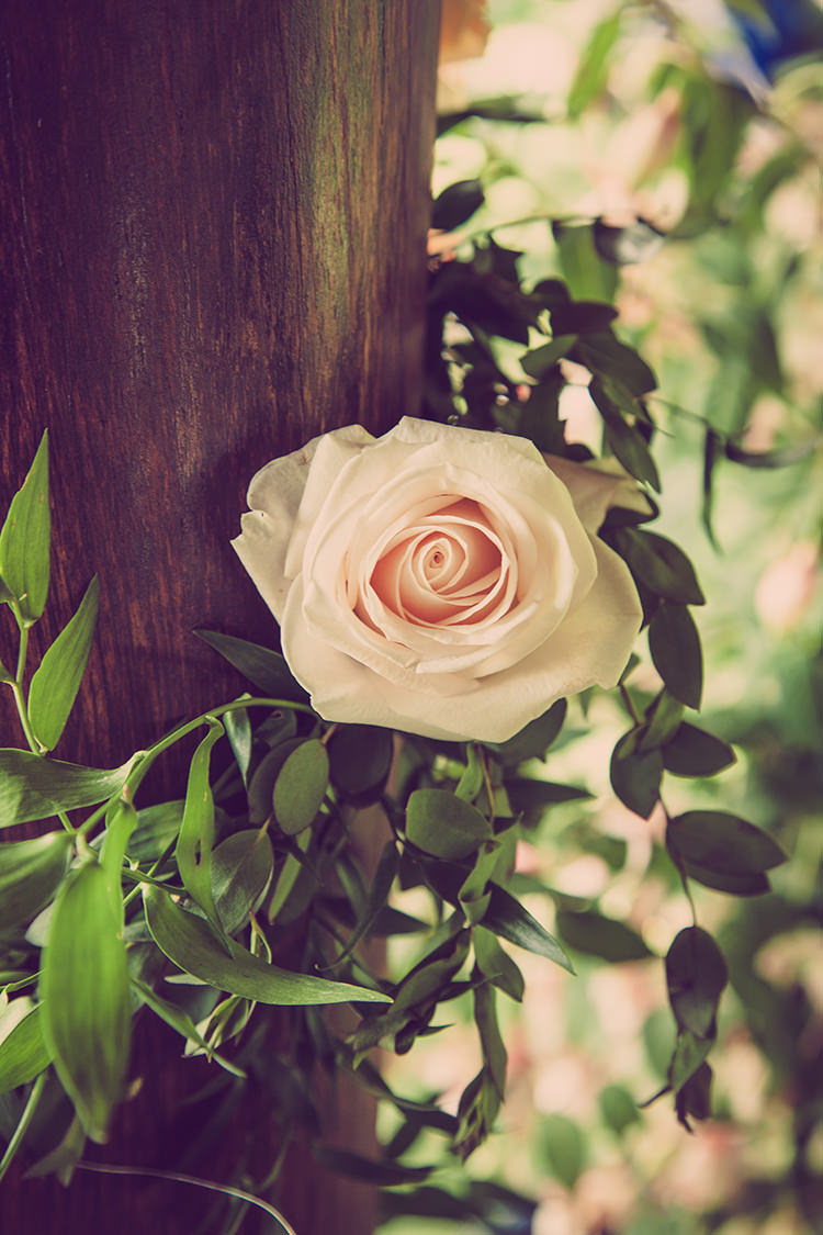 Glastonbury Festival Garden Party Wedding http://www.tommyreynoldsweddings.co.uk/