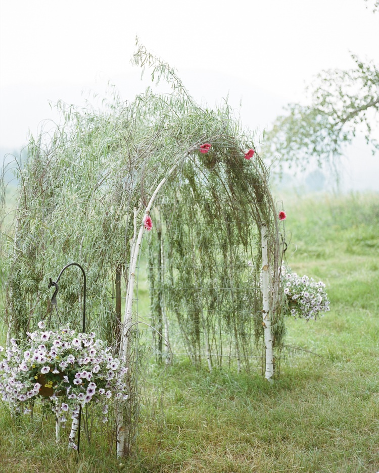 Wedding Backrop Tree Branches Outdoors http://jd3photo.com/