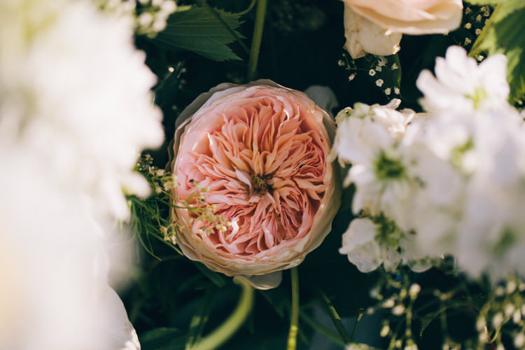 Rose Pink Flowers Bride Bridal Happy Summer Peach Marquee Wedding http://katherinemager.com/