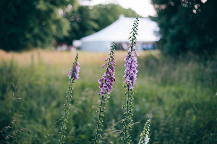 Happy Summer Peach Marquee Wedding http://katherinemager.com/