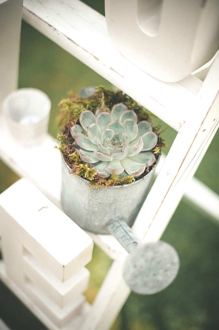 Ladder Decor Succulent Pots Watering Can Beautiful Summer Garden Party Wedding http://divinedayphotography.com/