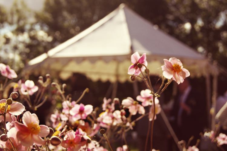 Vintage Country Garden Festival Wedding http://www.kimberleysta-mariaphotography.com/