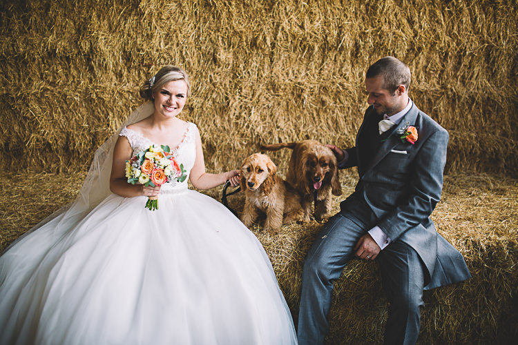 Dog Pets Magical Grey Coral Barn Wedding http://www.stevebridgwoodphotography.co.uk