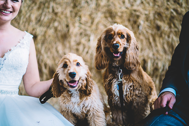 Dog Pets Magical Grey Coral Barn Wedding http://www.stevebridgwoodphotography.co.uk