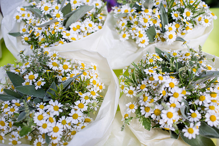 Daisies Daisy Bouquets Flowers Pretty Natural Floral Barn Wedding http://www.johastingsphotography.co.uk/