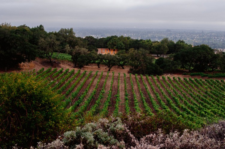 Beautiful Winery Wedding California http://www.sarahmaren.com/