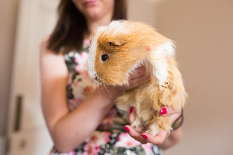 Pets at Weddings Bright Fresh Mexican Inspired Wedding http://www.photographybykatie.co.uk/