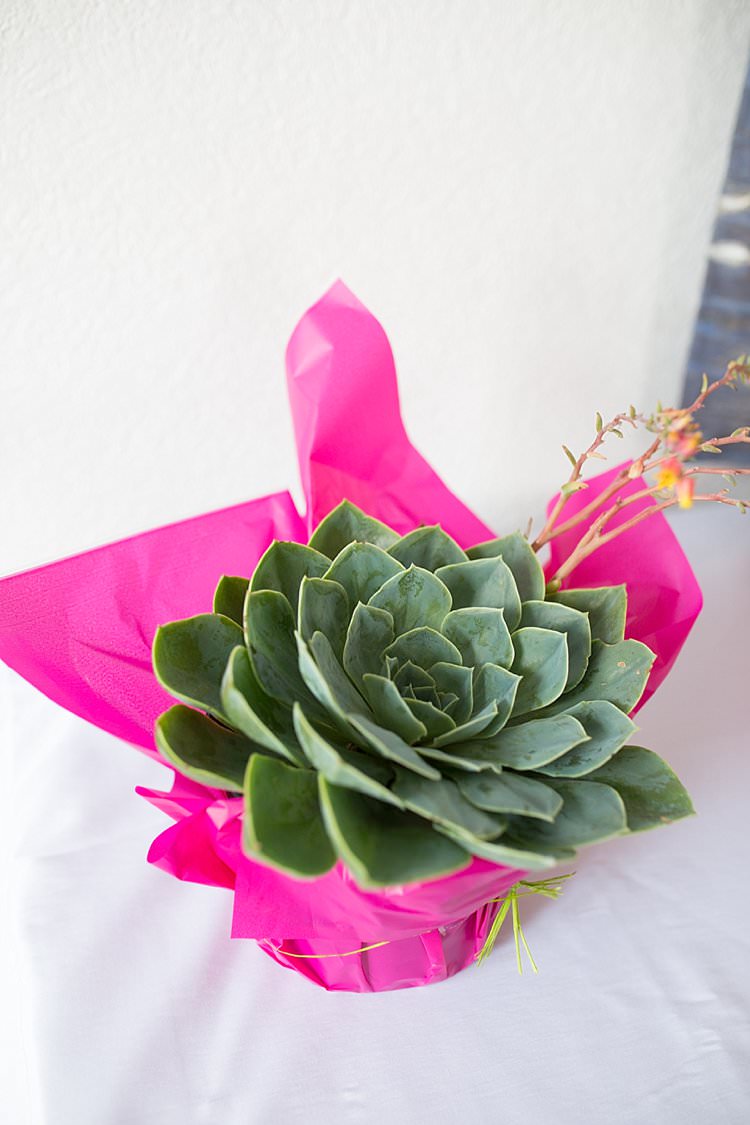 Succulent Pots Flowers Decor Bright Fresh Mexican Inspired Wedding http://www.photographybykatie.co.uk/