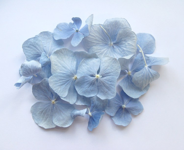 Dusky Blue Hydrangea Petals. Credit- The Real Flower Petal Confetti Company