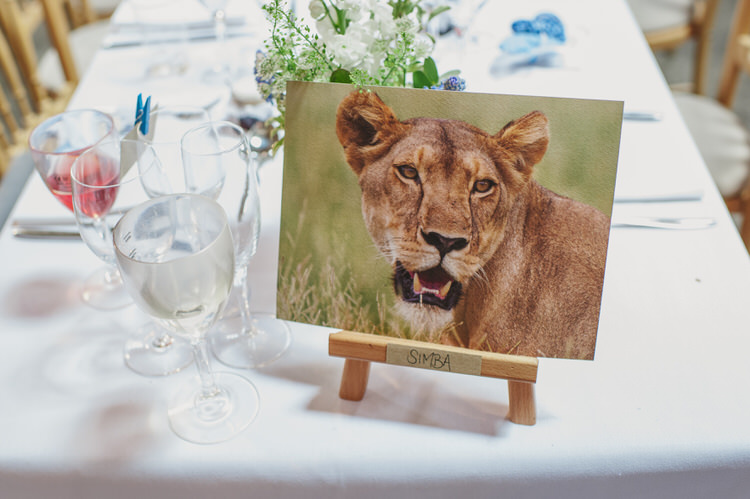 Animal Table Names Pretty Blue Country Barn Spring Wedding http://karenflowerphotography.com/