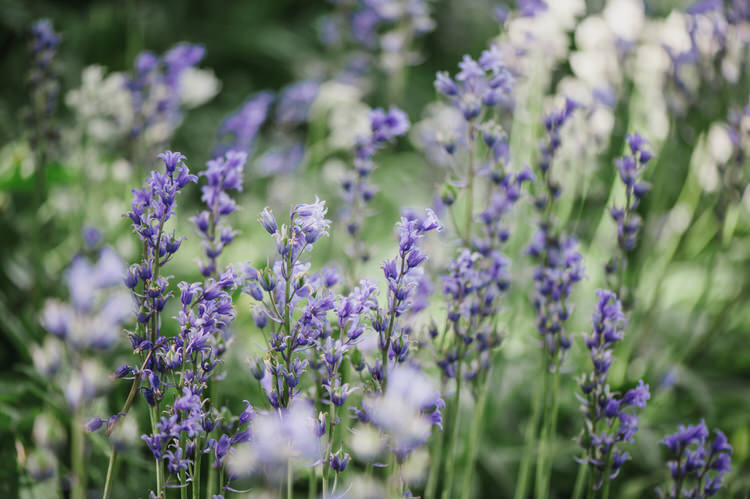Pretty Blue Country Barn Spring Wedding http://karenflowerphotography.com/