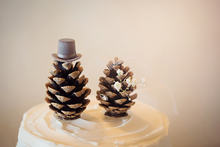 Pine Cone Cake Toppers Alpine Winter Christmas Wedding http://www.tireedawson.co.uk/