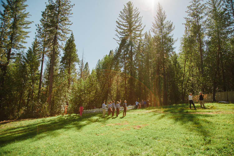 Farmer's Wedding Forest http://www.lenkalandphotography.com/